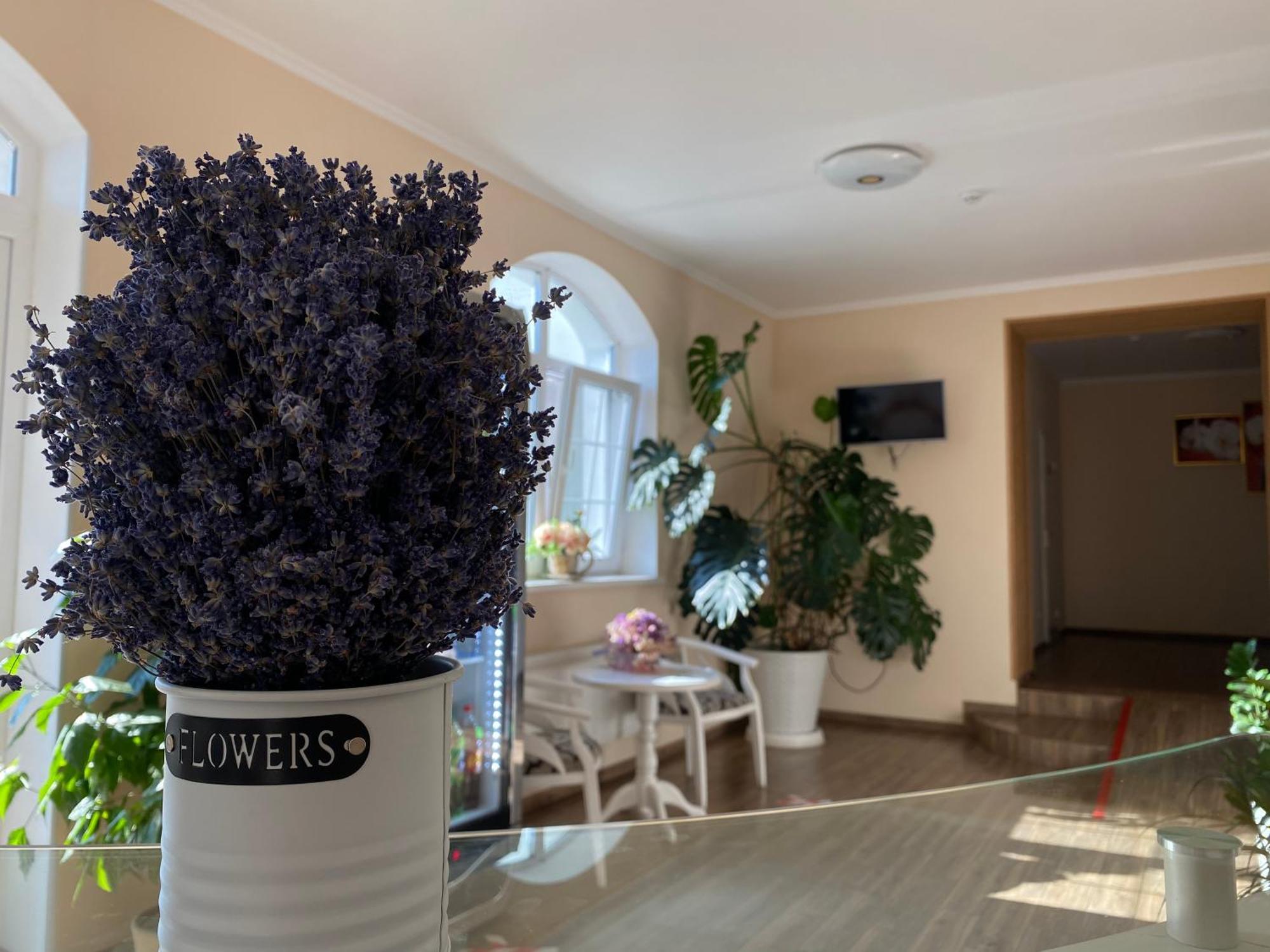 Орхідея Hotel Romny Exterior photo